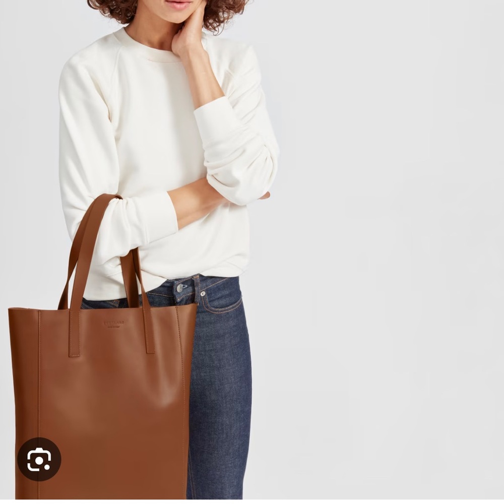 Everlane Day Magazine Tote in cognac leather